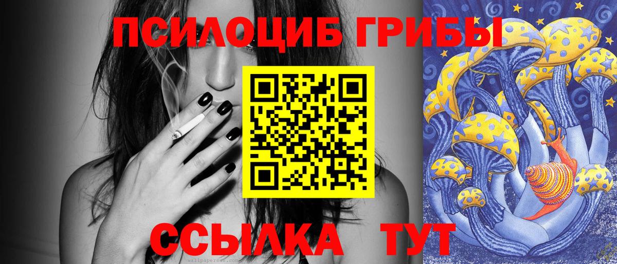 Галлюциногенные грибы Cubensis  Вход с VPN  Уварово 