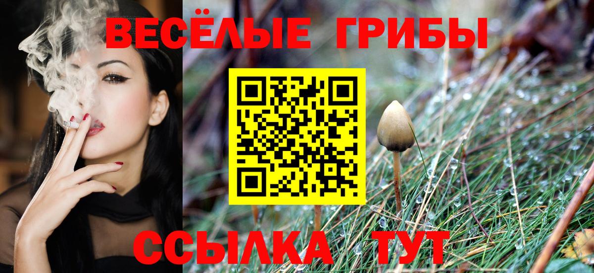 Галлюциногенные грибы GOLDEN TEACHER Уварово